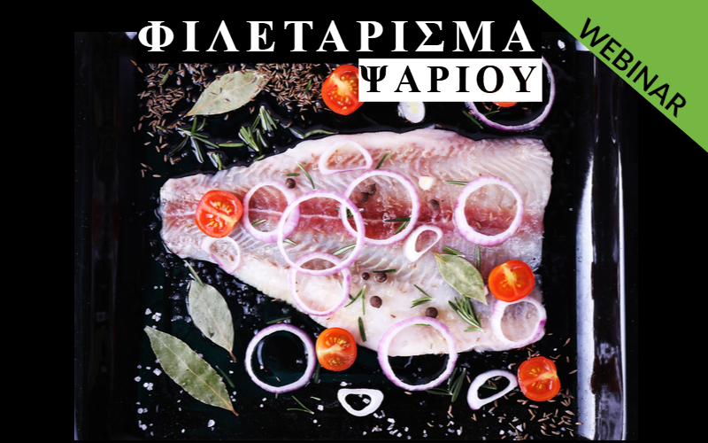 ΦΙΛΕΤΑΡΙΣΜΑ ΨΑΡΙΟΥ Εξ αποστάσεως παρακολούθηση webinar