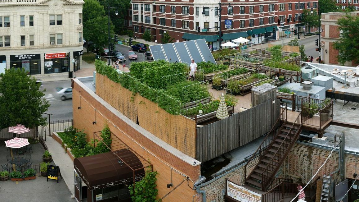 Rooftopfarm