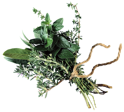 HerbalBouquet 500x452