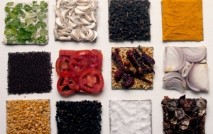 Gastronomy &amp; Ecology